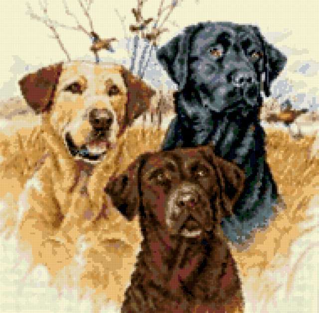 Винтаж: Парные картины вышивки Охотничьи собаки. Охота Вышивка крестом Винтаж